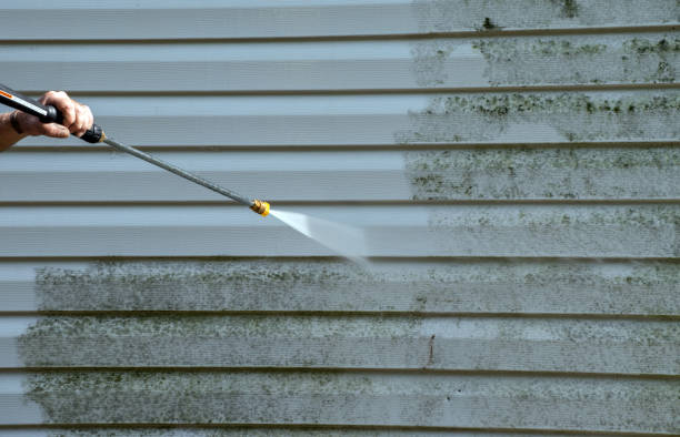 Best Roof Washing  in Woodall, OK
